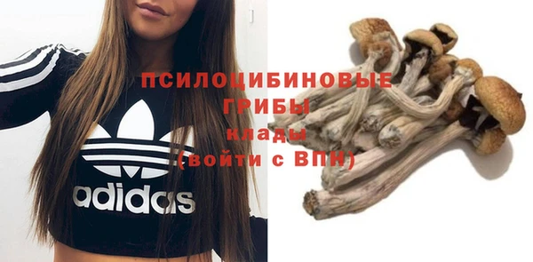 стаф Алексин