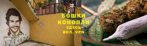 дурь Алзамай
