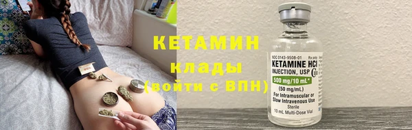 стаф Алексин