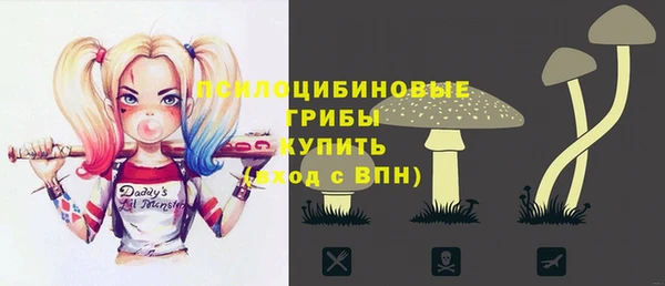 стаф Алексин