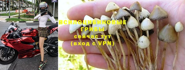 дурь Алзамай