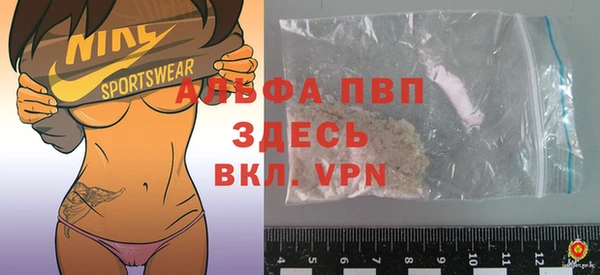стаф Алексин